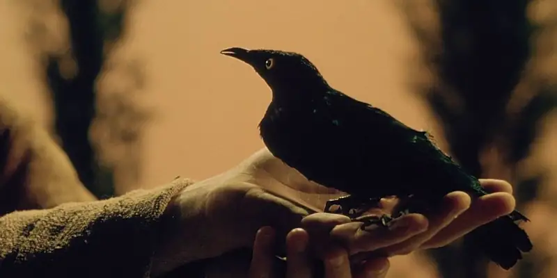 A scene from Canticle of All Creatures showing a hand holding a stuffed blackbird
