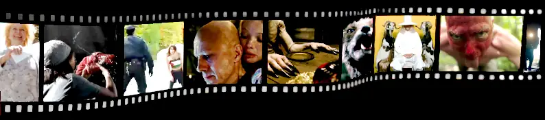 A film reel containing cropped scenes from movies reviewed in the article