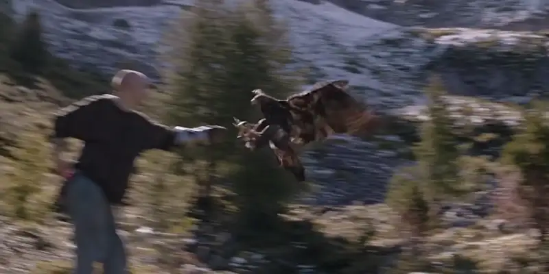 Johannes in Luzifer catching an Eagle on his arm